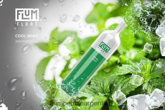 FLUM FLOAT 3000 bocanadas | Flum Pebble Flavors 0FHZ2825 menta fresca