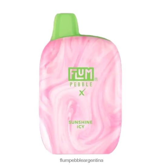 FLUM PEBBLES 6000 bocanadas | Flum Pebble Buenos Aires 0FHZ2882 sol helado