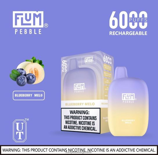 FLUM PEBBLES 6000 bocanadas | Flum Pebble Mayoreo 0FHZ2816 melocotonero de arándanos