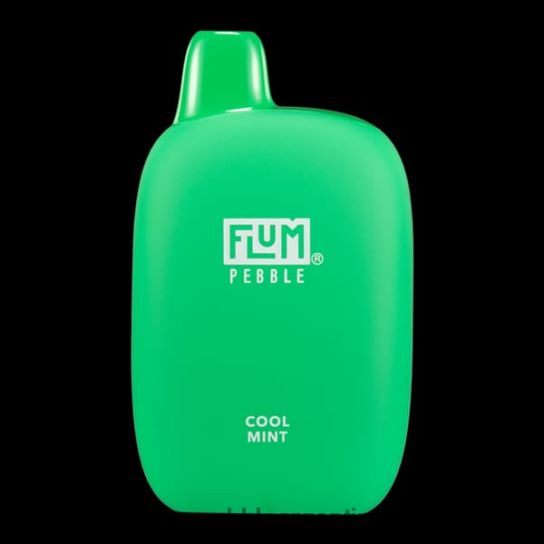 FLUM PEBBLES 6000 bocanadas | Flum Pebble Precio 0FHZ2824 menta fresca