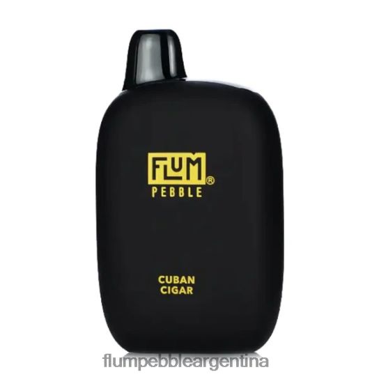 FLUM PEBBLES 6000 bocanadas | Flum Pebble Vape Review 0FHZ2829 cigarro cubano