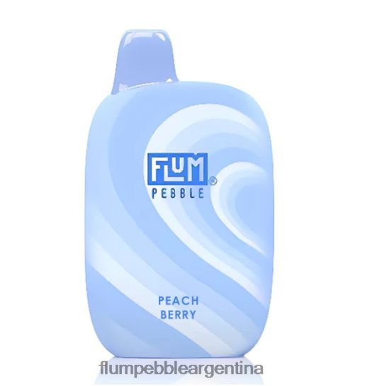 FLUM PEBBLES 6000 bocanadas | Flum Pebble Vape Review 0FHZ2839 baya de durazno