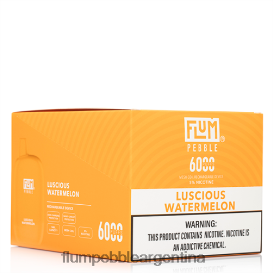 FLUM PEBBLES 6000 inhalaciones 10 paquetes | Flum Pebble Argentina 0FHZ2851 sandia deliciosa