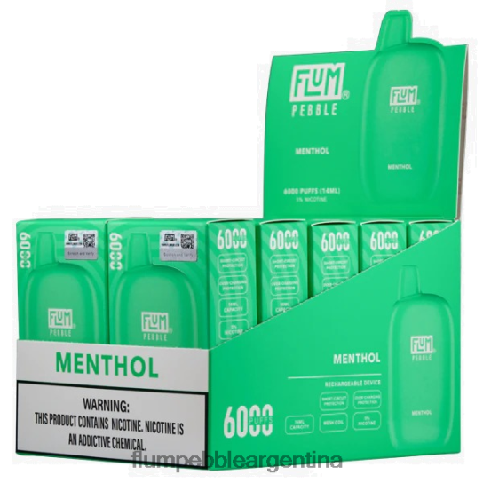 FLUM PEBBLES 6000 inhalaciones 10 paquetes | Flum Pebble Vape Flavors 0FHZ2858 mentol