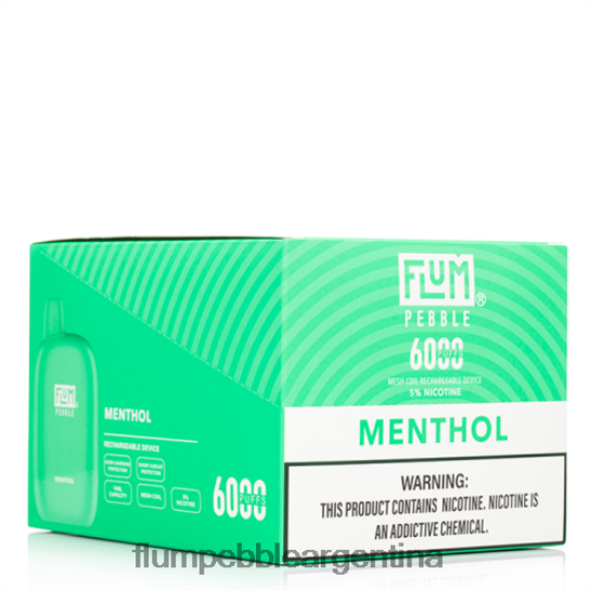 FLUM PEBBLES 6000 inhalaciones 10 paquetes | Flum Pebble Vape Flavors 0FHZ2858 mentol